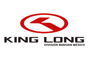 king long dalton seminuevos