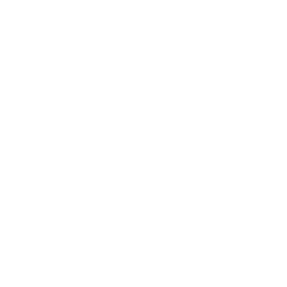 fiat logo
